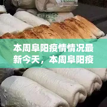 第2035页