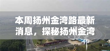 第2019页