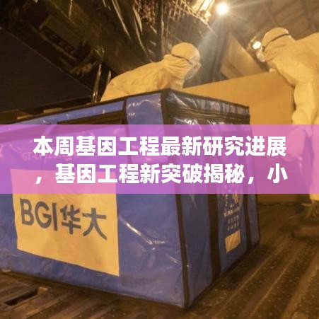 基因工程新突破揭秘，小巷深处的未来科技实验室本周最新进展报道！