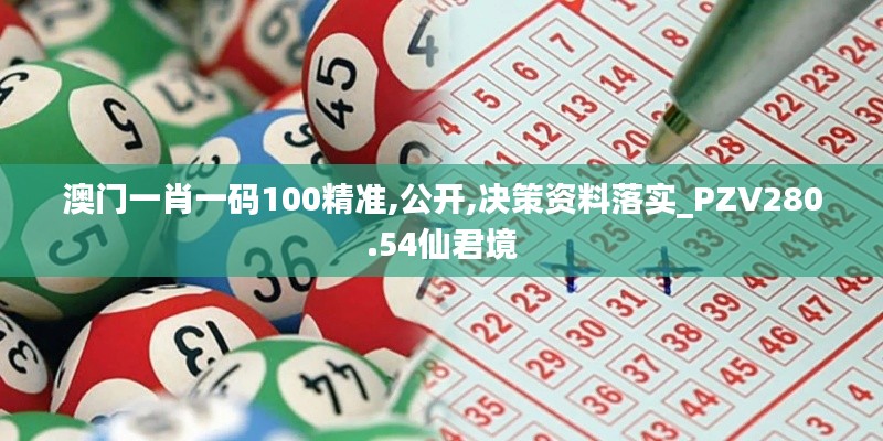 澳门一肖一码100精准,公开,决策资料落实_PZV280.54仙君境