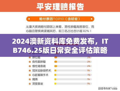 2024澳新资料库免费发布，ITB746.25版日常安全评估策略