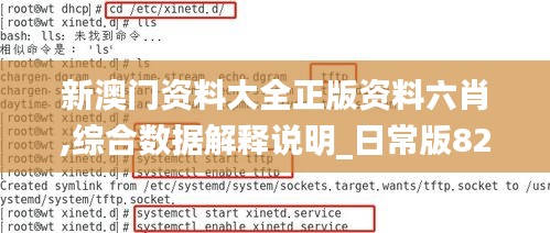 新澳门资料大全正版资料六肖,综合数据解释说明_日常版822.09
