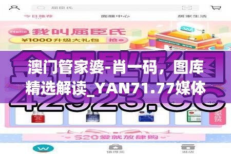 澳门管家婆-肖一码，图库精选解读_YAN71.77媒体版