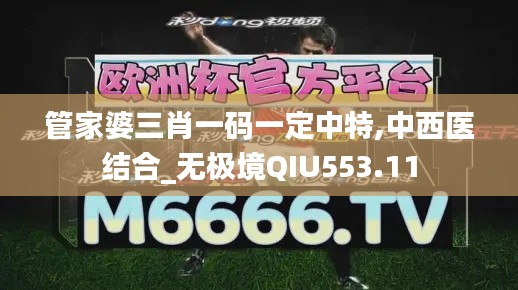 管家婆三肖一码一定中特,中西医结合_无极境QIU553.11