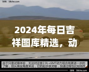 第1817页