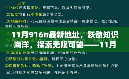 跃动知识海洋，探索无限可能，揭秘11月916n新地址魔法之旅，学习成就自信与成长