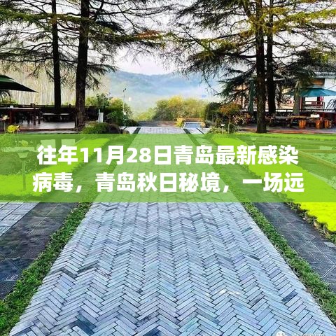 神采奕奕 第12页