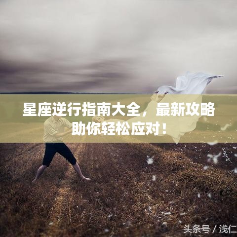 在线留言 第32页
