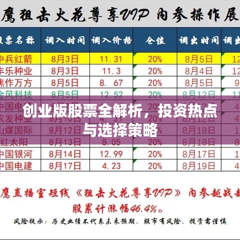 创业版股票全解析，投资热点与选择策略