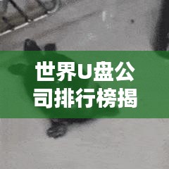 世界U盘公司排行榜揭晓，行业巨头一览无余！