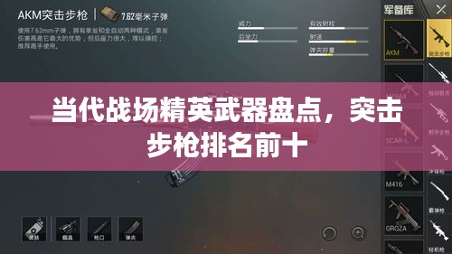 当代战场精英武器盘点，突击步枪排名前十
