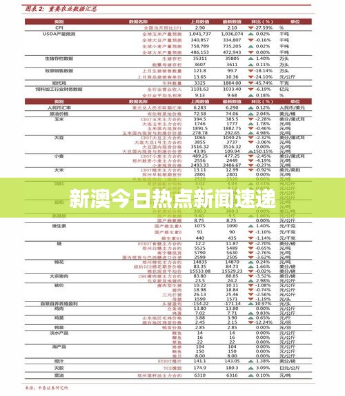 新澳今日热点新闻速递
