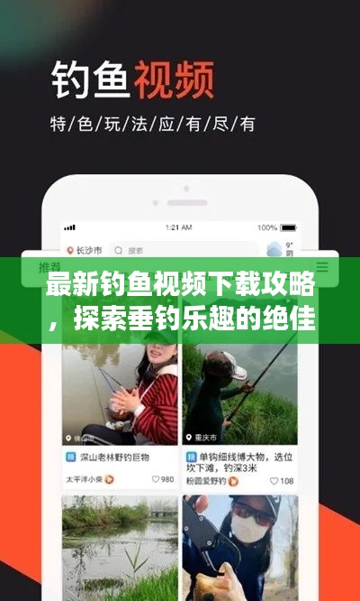 轻徙鸟举